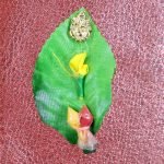 Haldi Kumkuma Thambulam Set (12 Pcs)
